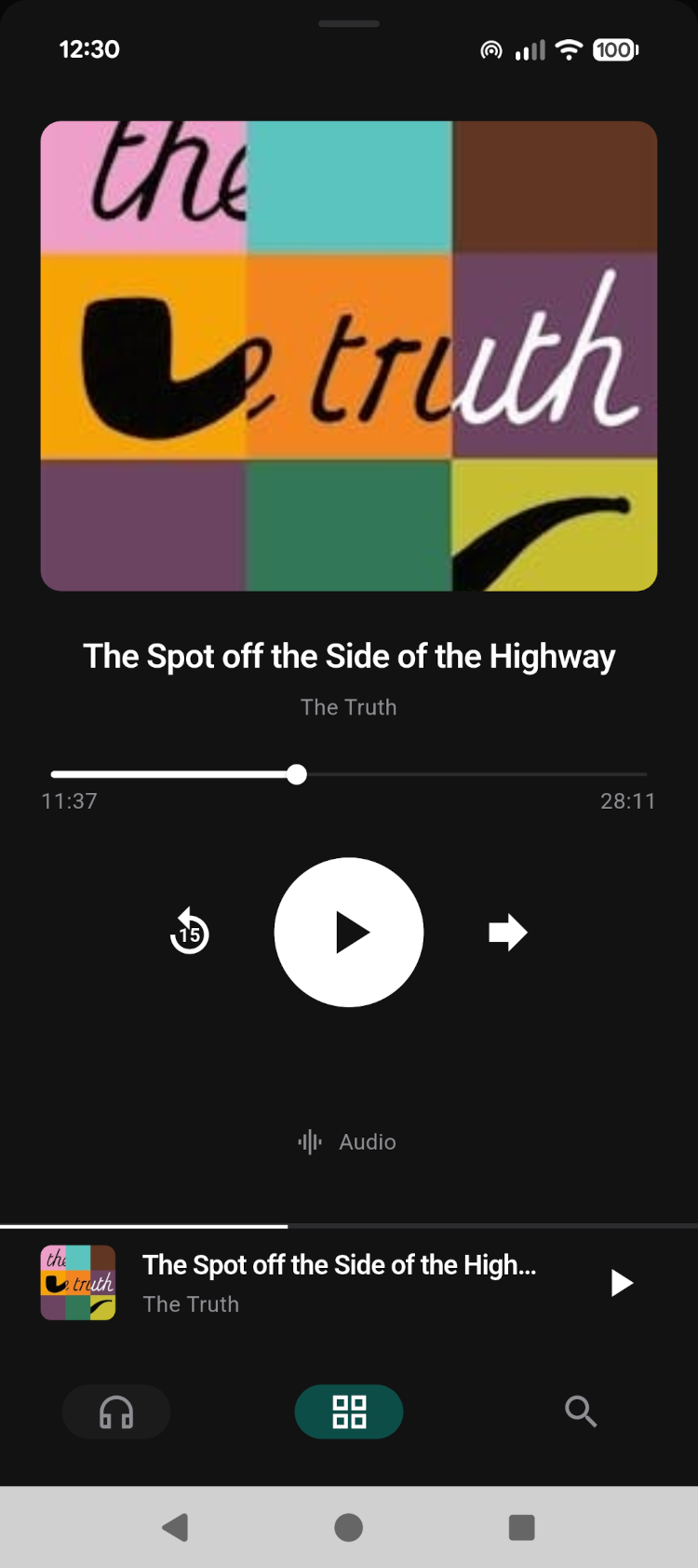 Audio player screen showing playback controls